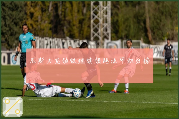 尼斯力克劲敌继续领跑法甲积分榜