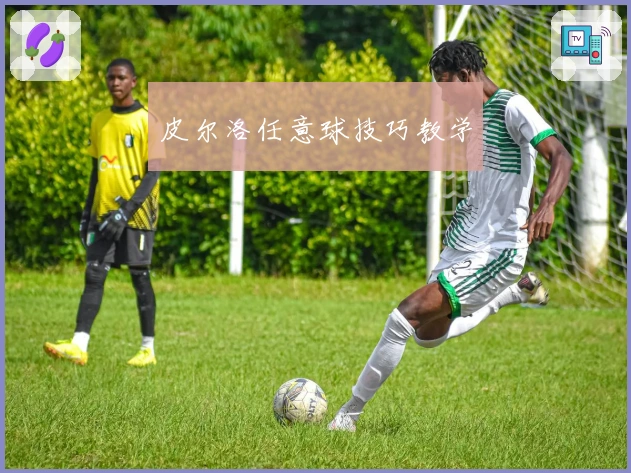 皮尔洛任意球技巧教学